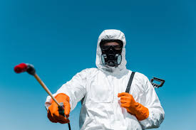 Best Emergency Pest Control  in Vega, TX